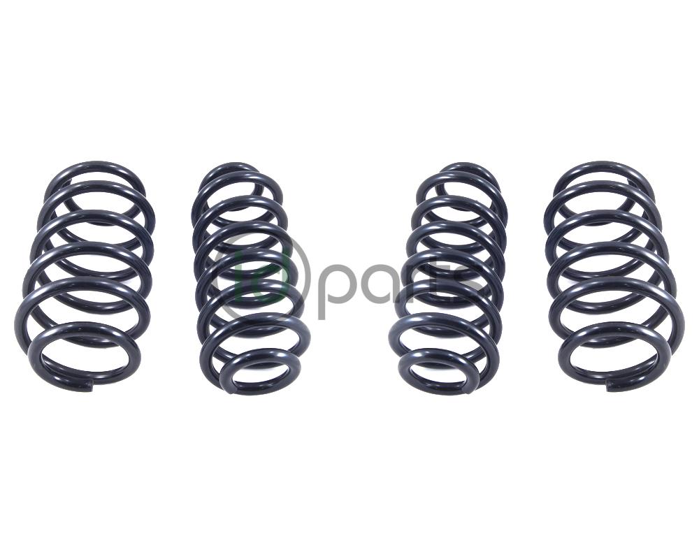 Eibach PRO-KIT Performance Spring Set (A5 Jetta)(Sportwagen) Picture 1