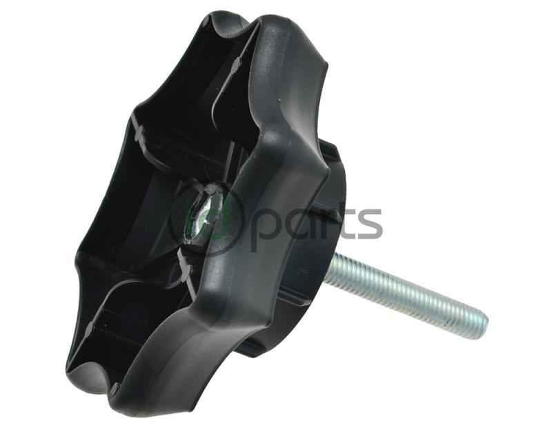 Spare Tire Securing Bolt (A4)