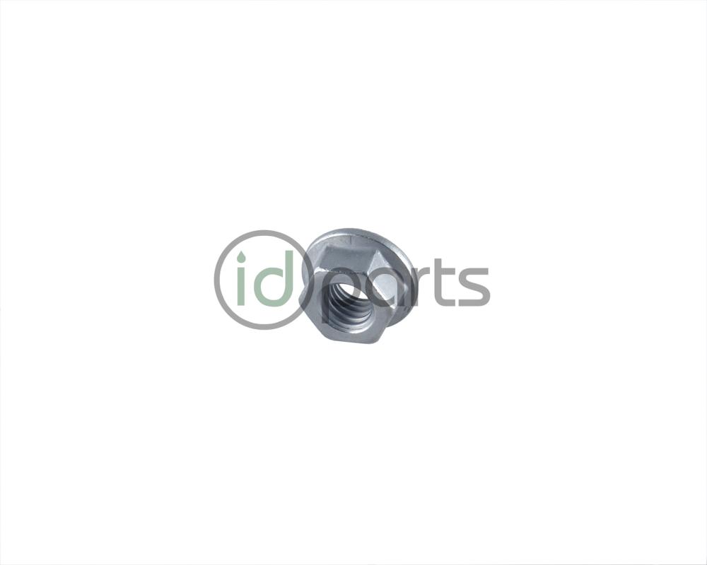 Roller Nut (CVCA CRUA) Picture 1
