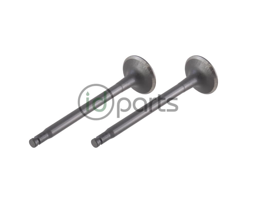 Intake Valve  (OM647)(OM648) Picture 1