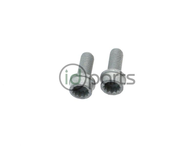 EGR Cooler Pipe Bolt Pair (A4)