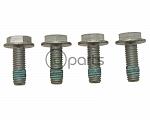 Rear Caliper-Carrier Bolt Set (4 bolts) (A4)(B5.5)(260mm)(253mm)(NMS 272)