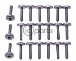 Transmission Pan Bolt Set of 21 (E70)(E90)