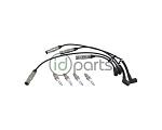 Ignition Service Kit (2.0L)
