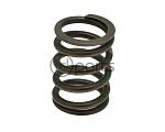 Individual Valve Spring (CBEA/CJAA)(CRUA)(CVCA)