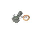 Third Injector Banjo Bolt & Washer (A4 ALH)