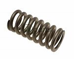 Individual Valve Spring (Liberty CRD)