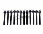 Head Bolt Set (T1N)