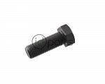 Front Crankshaft Bolt (T1N New Style)