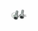 EGR Cooler Pipe Bolt Pair (A4)