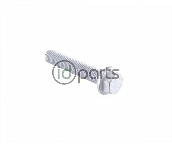 Rear Shock Bottom Bolt (T1N 2500)(NCV3 2500)