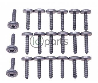 Transmission Pan Bolt Set of 21 (E70)(E90)