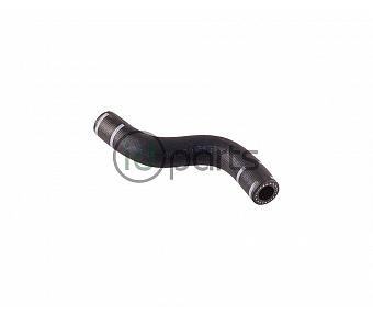 Front Fuel Filter Hose (D4)