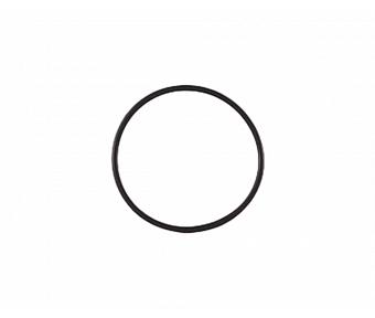 Turbocharger Damper Seal (CRUA)(CVCA)