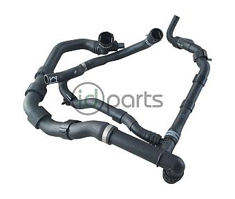 Lower Radiator Hose (CVCA)