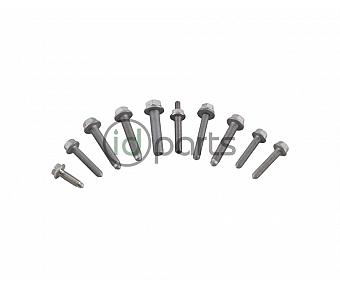 DSG Transmission Install Bolt Set (NMS CVCA)(Jetta CVCA)