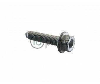VW Bolt N90956402 (M10x45)