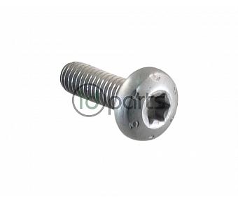 Transmission Pan Bolt (C7)