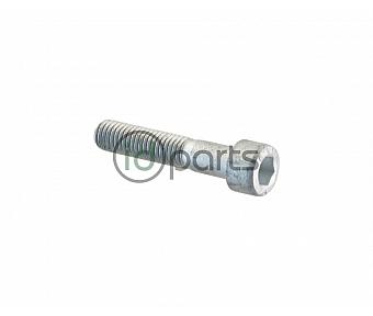 Serpentine Belt Roller Bolt (VS30 OM651)