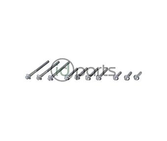 Intake Manifold Bolt Set - Left (NCV3 OM642 Early)
