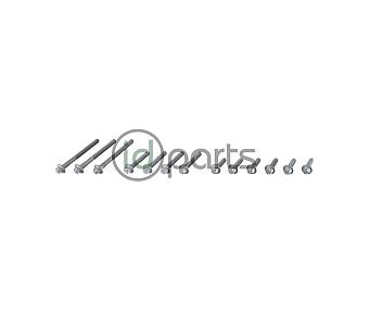 Intake Manifold Bolt Set - Left (NCV3 OM642 Late)