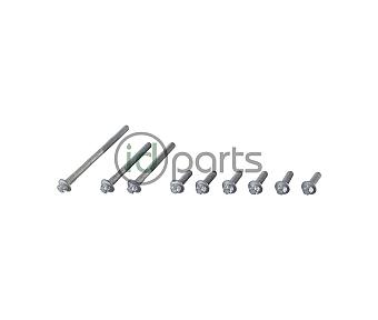 Intake Manifold Bolt Set - Right (OM642 Late)