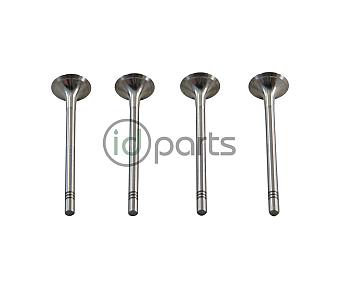 Exhaust Valve [Freccia] (CVCA)(CRUA)