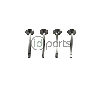 Intake Valve [Freccia] (CVCA)(CRUA)