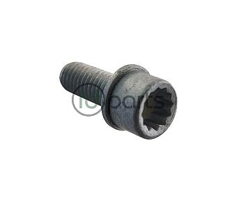 VW Bolt N10698101