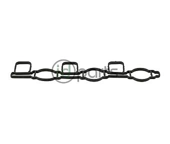 Intake Manifold Gasket (CATA)