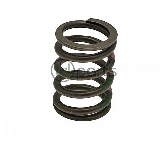 Individual Valve Spring (CBEA/CJAA)(CRUA)(CVCA)