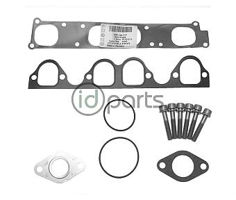 Intake Manifold Cleaning Kit (A4 BEW)