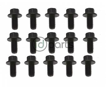 Transmission Pan Bolt Set (Liberty CRD)