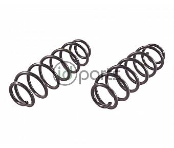 Rear Spring (A4 Golf)