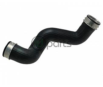 Intercooler Exit Hose (B5.5)