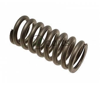 Individual Valve Spring (Liberty CRD)