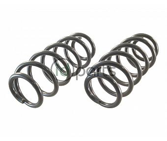 Front Spring (B5.5 Passat)