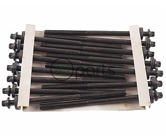 Engine Cylinder Head Bolt Set (M57)