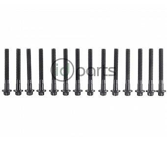 Head Bolt Set (OM648)