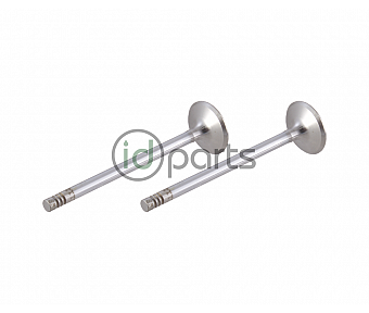 Intake Valve (M57)