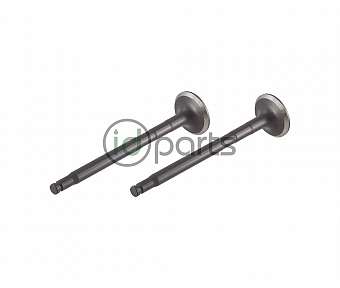 Exhaust Valve (T1N OM647)