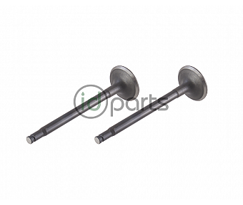 Intake Valve (T1N OM612)