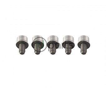 Fuel Filter Bolt Set (CVCA)(CRUA)(CKRA)(CNRB)