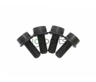 Rear Carrier-Axle Bolt Set (B4)